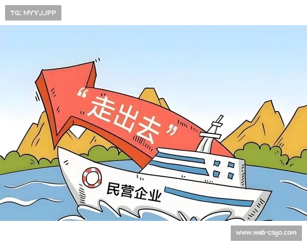 国际视野不断拓展，统筹体系借鉴国外先进经验